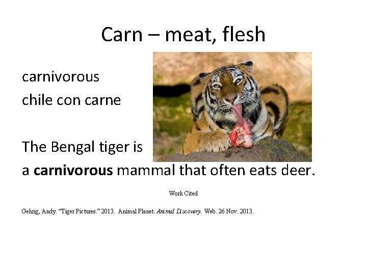 Carn – meat, flesh carnivorous chile con carne The Bengal tiger is a carnivorous
