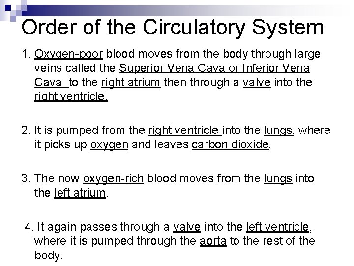 Order of the Circulatory System 1. Oxygen-poor blood moves from the body through large