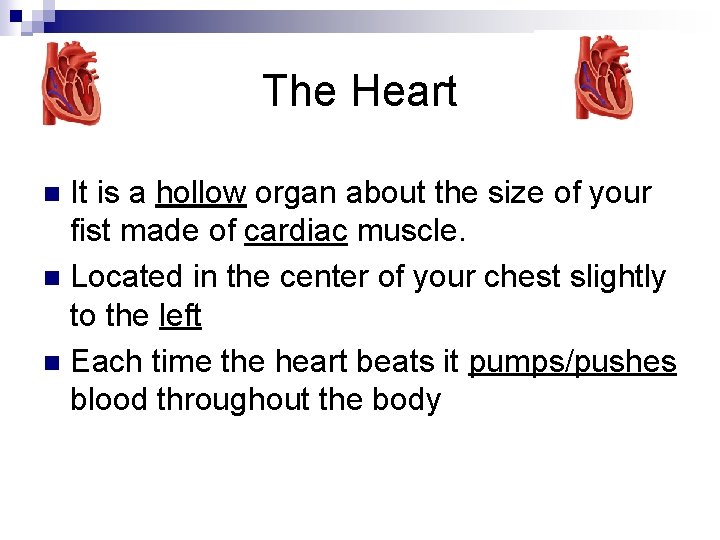 The Heart It is a hollow organ about the size of your fist made