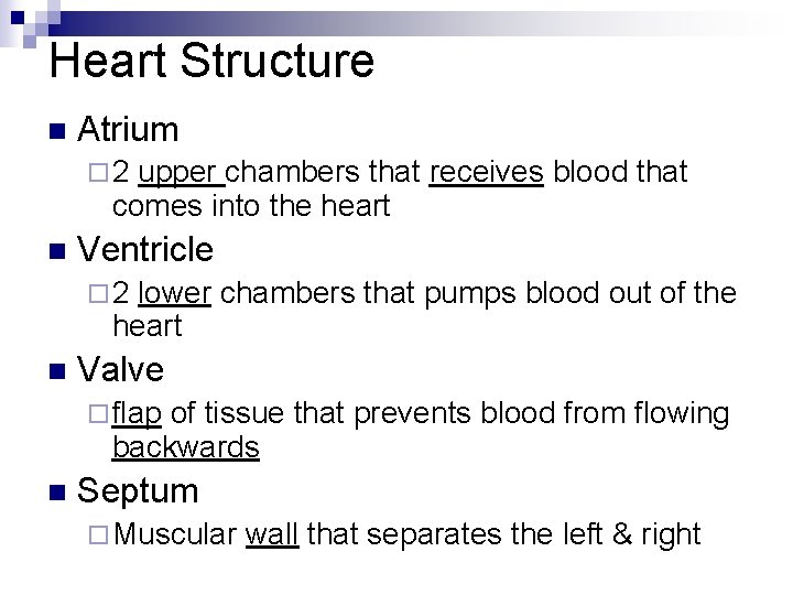 Heart Structure n Atrium ¨ 2 upper chambers that receives blood that comes into