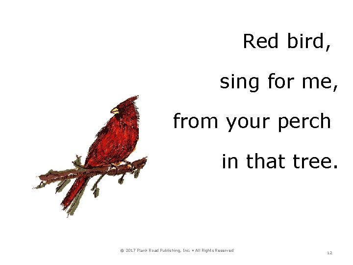 Red bird, sing for me, from your perch in that tree. © 2017 Plank