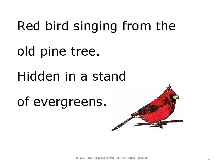 Red bird singing from the old pine tree. Hidden in a stand of evergreens.