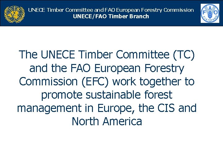 UNECE Timber Committee and Timber FAO European Forestry Commission UNECE/FAO Branch UNECE/FAO Timber Branch