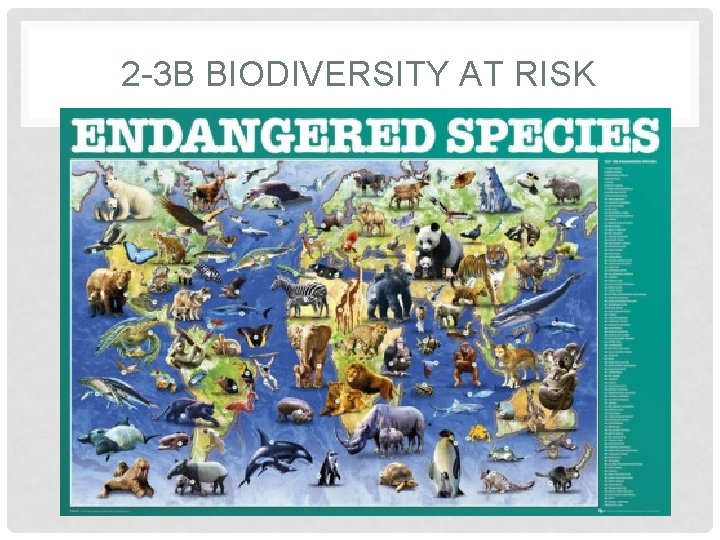 2 -3 B BIODIVERSITY AT RISK 