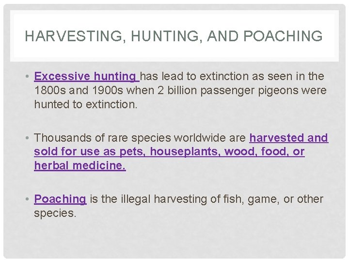 HARVESTING, HUNTING, AND POACHING • Excessive hunting has lead to extinction as seen in