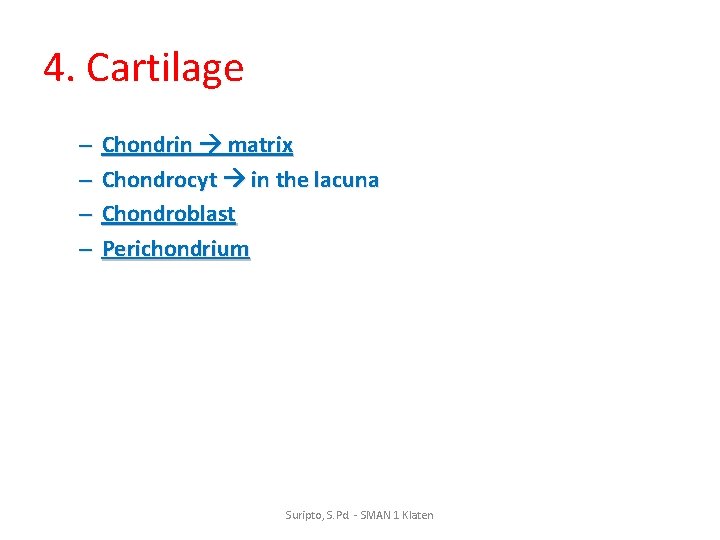 4. Cartilage – – Chondrin matrix Chondrocyt in the lacuna Chondroblast Perichondrium Suripto, S.