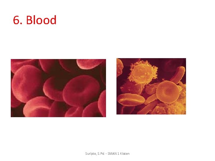 6. Blood Suripto, S. Pd. - SMAN 1 Klaten 