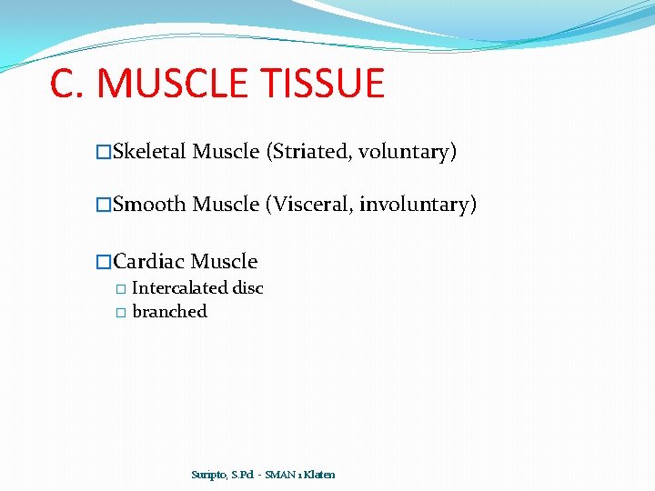 C. MUSCLE TISSUE �Skeletal Muscle (Striated, voluntary) �Smooth Muscle (Visceral, involuntary) �Cardiac Muscle �