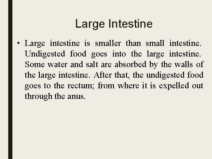 Large Intestine • Large intestine is smaller than small intestine. Undigested food goes into