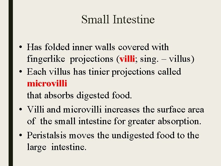 Small Intestine • Has folded inner walls covered with fingerlike projections (villi; sing. –