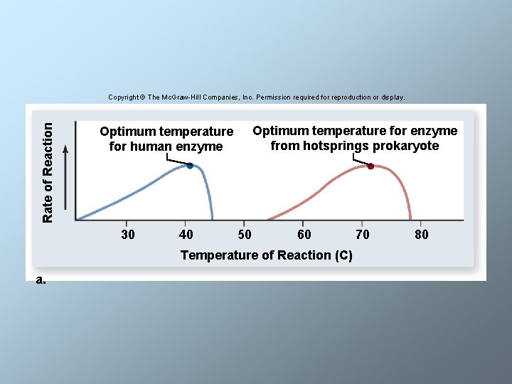 Rate of Reaction Copyright © The Mc. Graw-Hill Companies, Inc. Permission required for reproduction