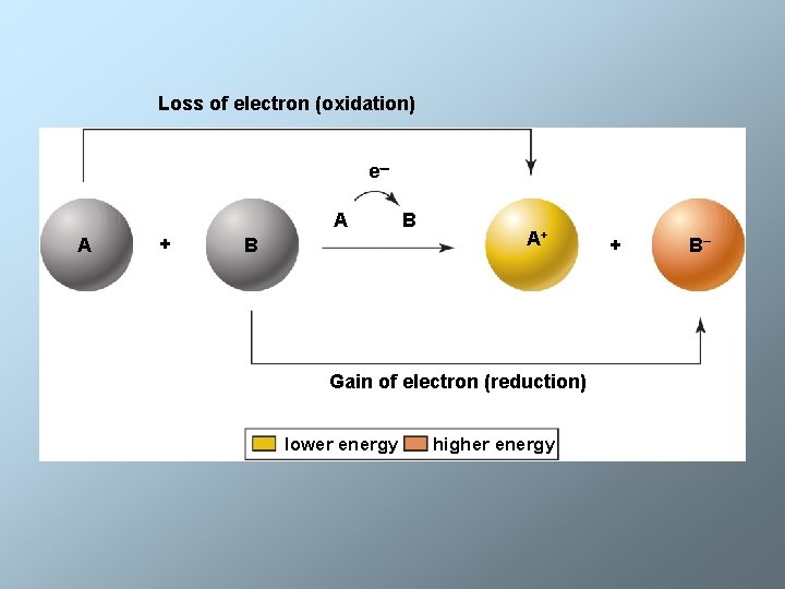 Loss of electron (oxidation) e– A A + B B A+ Gain of electron