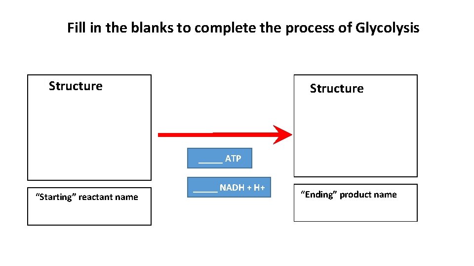 Fill in the blanks to complete the process of Glycolysis Structure _____ ATP “Starting”