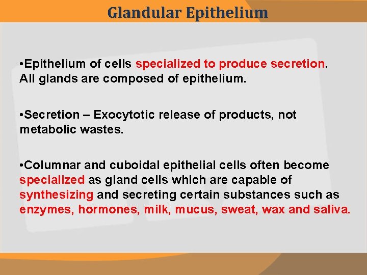 Glandular Epithelium • Epithelium of cells specialized to produce secretion. All glands are composed