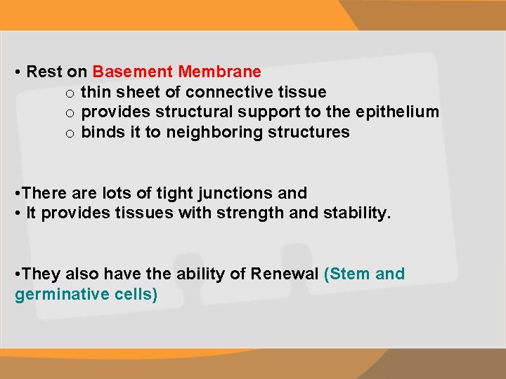  • Rest on Basement Membrane o thin sheet of connective tissue o provides