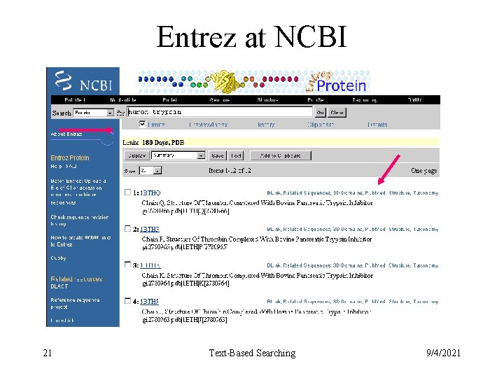 Entrez at NCBI 21 Text-Based Searching 9/4/2021 