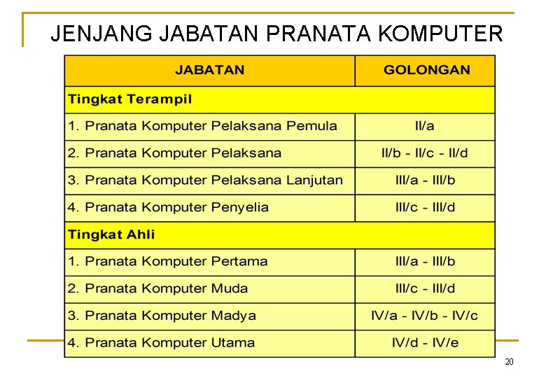 JENJANG JABATAN PRANATA KOMPUTER 20 