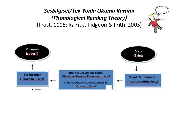 Sesbilgisel/Tek Yönlü Okuma Kuramı (Phonological Reading Theory) (Frost, 1998; Ramus, Pidgeon & Frith, 2003)