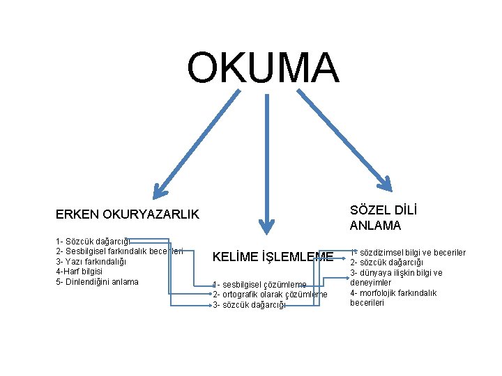 OKUMA SÖZEL DİLİ ANLAMA ERKEN OKURYAZARLIK 1 - Sözcük dağarcığı 2 - Sesbilgisel farkındalık