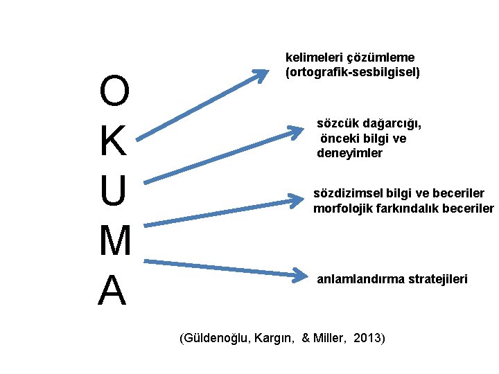 O K U M A kelimeleri çözümleme (ortografik-sesbilgisel) sözcük dağarcığı, önceki bilgi ve deneyimler