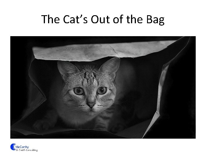 The Cat’s Out of the Bag 