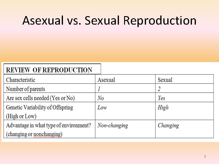 Asexual vs. Sexual Reproduction 3 