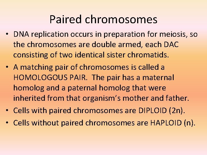 Paired chromosomes • DNA replication occurs in preparation for meiosis, so the chromosomes are