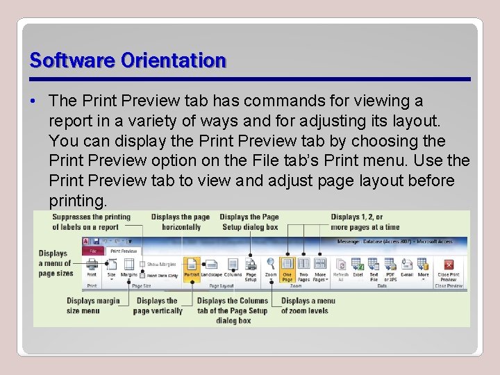 Software Orientation • The Print Preview tab has commands for viewing a report in