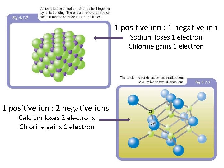 1 positive ion : 1 negative ion Sodium loses 1 electron Chlorine gains 1