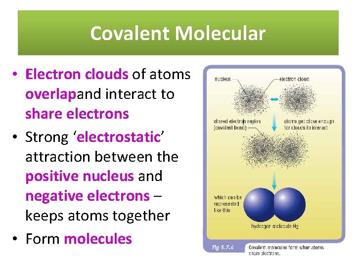 Covalent Molecular • Electron clouds of atoms overlapand interact to share electrons • Strong