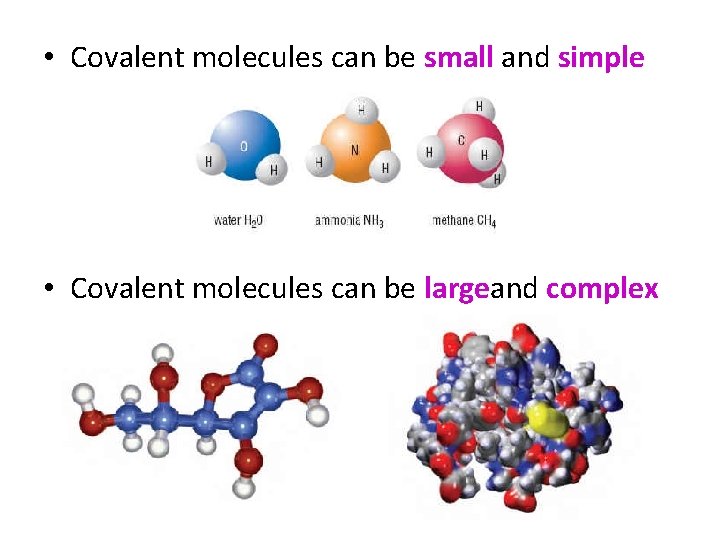  • Covalent molecules can be small and simple • Covalent molecules can be