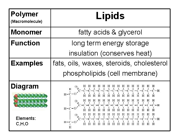 Polymer (Macromolecule) Lipids Monomer fatty acids & glycerol Function long term energy storage insulation