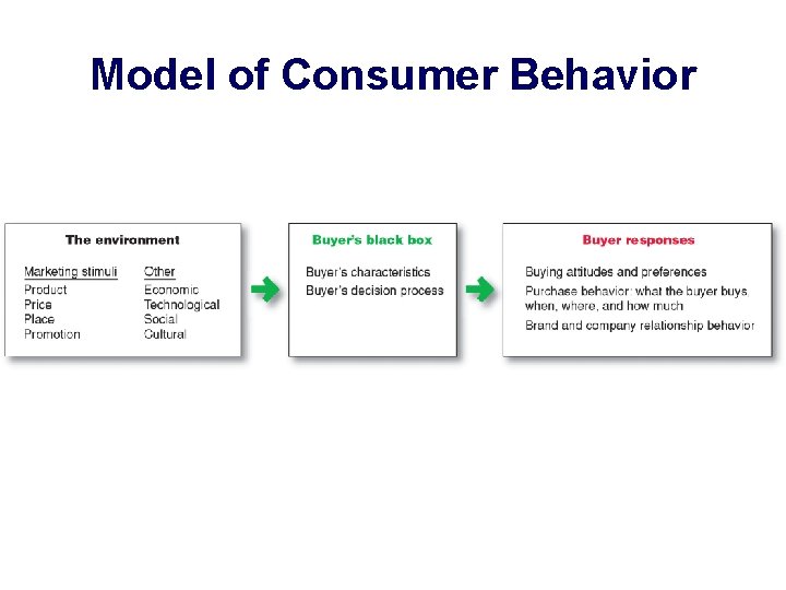 Model of Consumer Behavior 