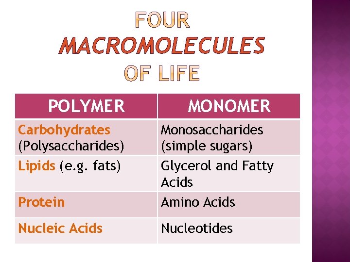 MACROMOLECULES POLYMER MONOMER Carbohydrates (Polysaccharides) Lipids (e. g. fats) Protein Monosaccharides (simple sugars) Glycerol