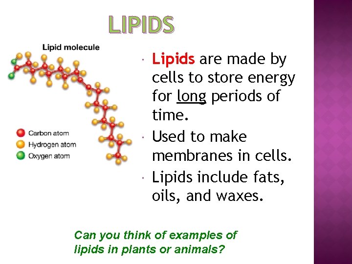 LIPIDS Lipids are made by cells to store energy for long periods of time.