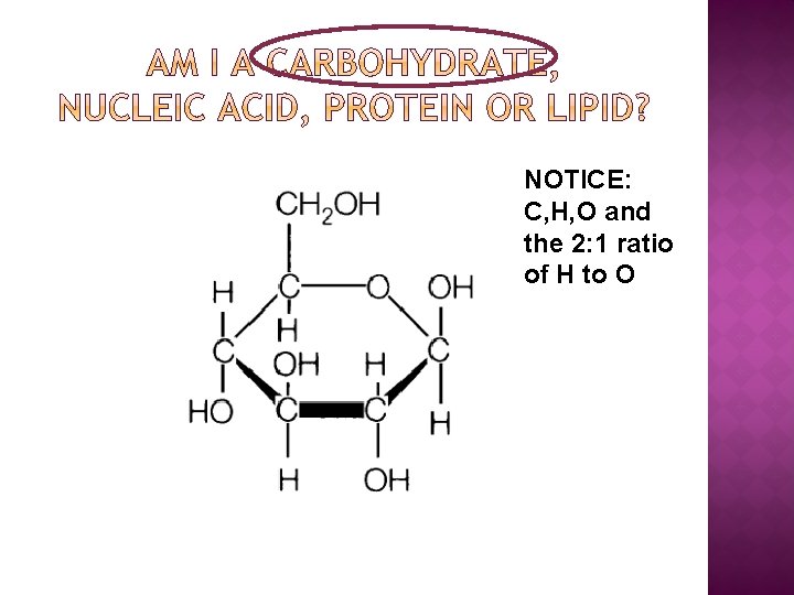 NOTICE: C, H, O and the 2: 1 ratio of H to O 