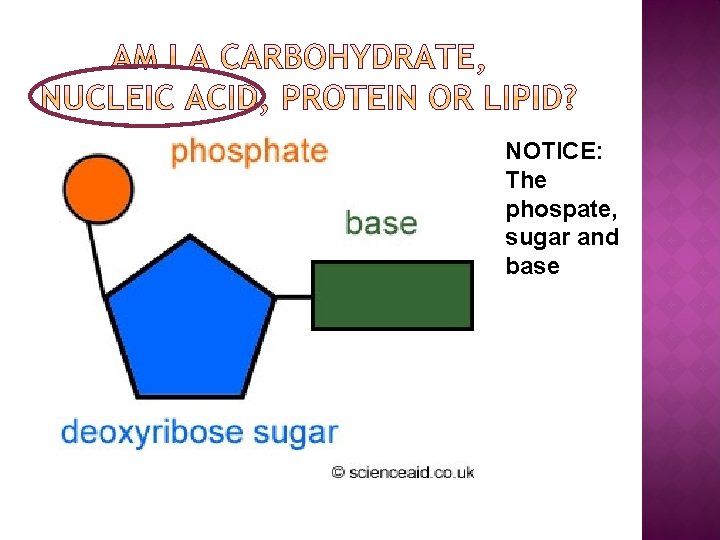 NOTICE: The phospate, sugar and base 
