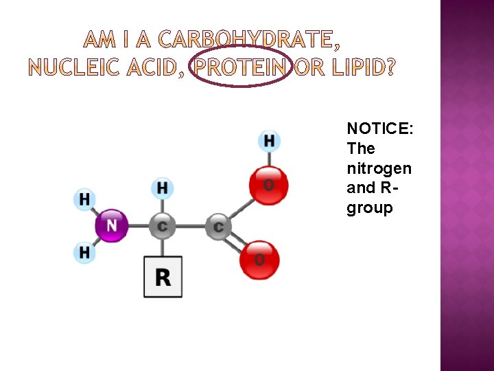 NOTICE: The nitrogen and Rgroup 