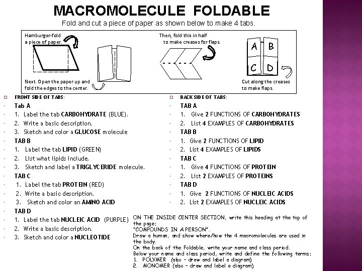 MACROMOLECULE FOLDABLE Fold and cut a piece of paper as shown below to make