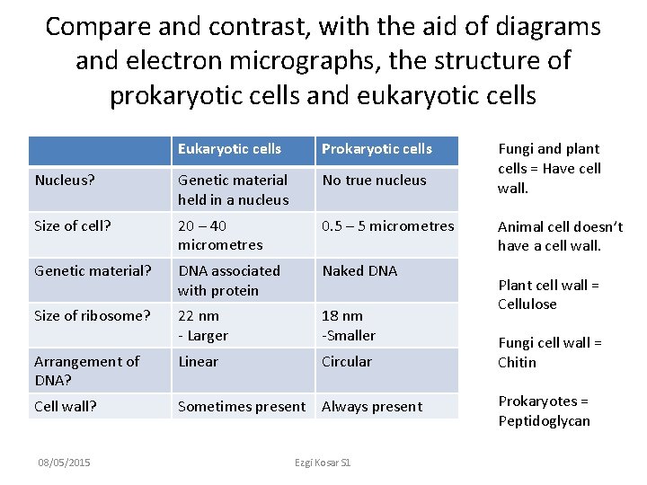 Compare and contrast, with the aid of diagrams and electron micrographs, the structure of