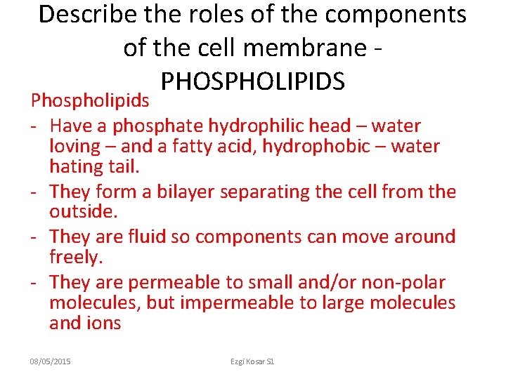 Describe the roles of the components of the cell membrane PHOSPHOLIPIDS Phospholipids - Have