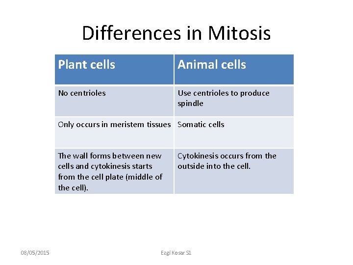 Differences in Mitosis Plant cells Animal cells No centrioles Use centrioles to produce spindle