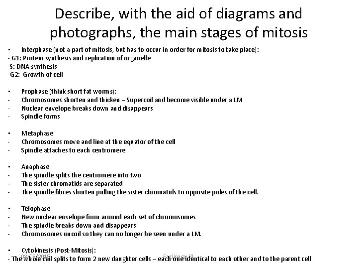 Describe, with the aid of diagrams and photographs, the main stages of mitosis •