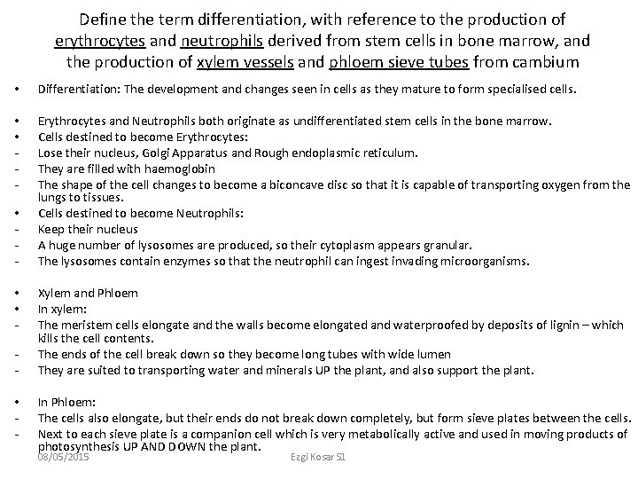 Define the term differentiation, with reference to the production of erythrocytes and neutrophils derived