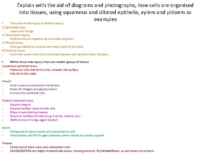 Explain with the aid of diagrams and photographs, how cells are organised into tissues,