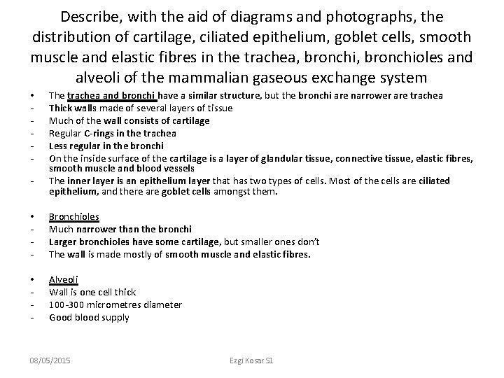 Describe, with the aid of diagrams and photographs, the distribution of cartilage, ciliated epithelium,