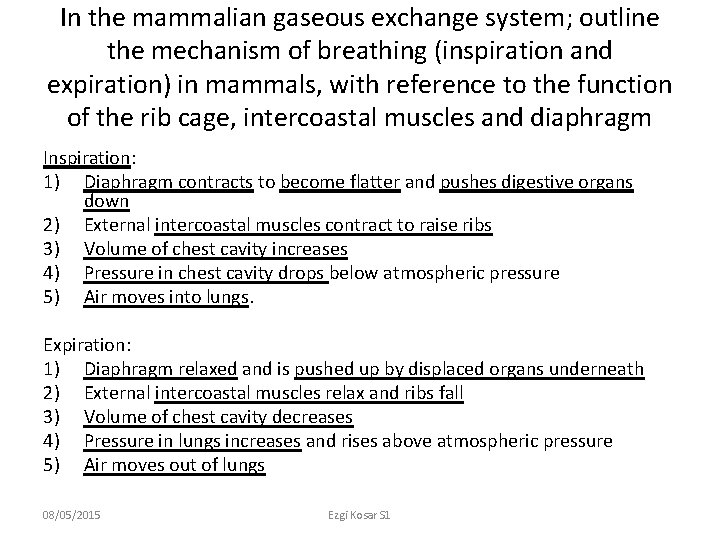 In the mammalian gaseous exchange system; outline the mechanism of breathing (inspiration and expiration)