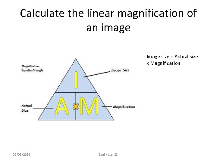 Calculate the linear magnification of an image Image size = Actual size x Magnification