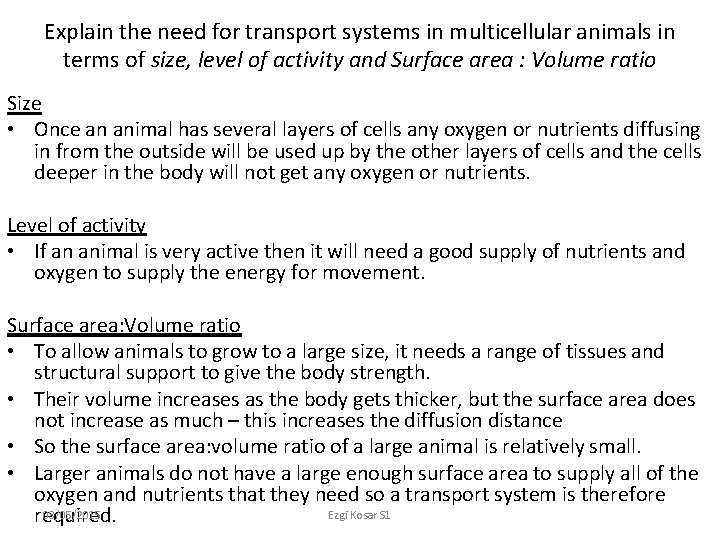 Explain the need for transport systems in multicellular animals in terms of size, level