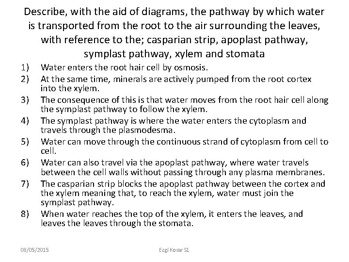 Describe, with the aid of diagrams, the pathway by which water is transported from